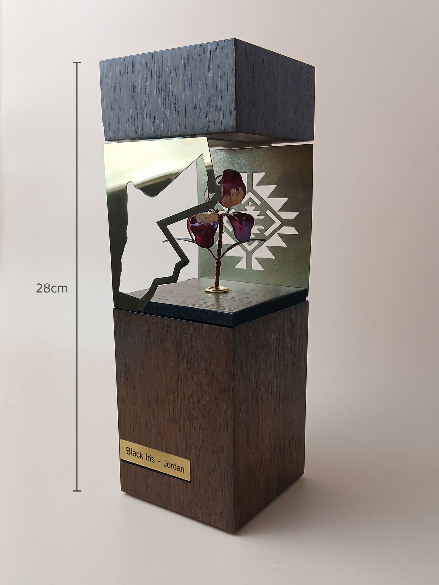 MC426 - Roots of Jordan Trophy " Black Iris "